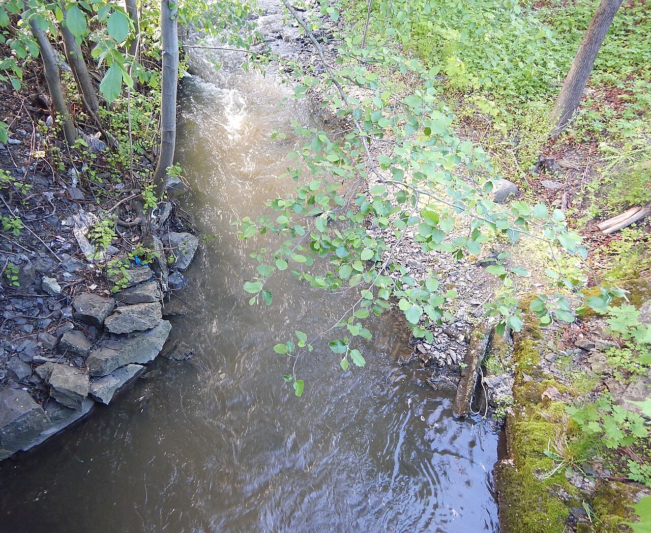 A narrow stream with ripples, stone edges, leafy branches and moss, viewed from above.
